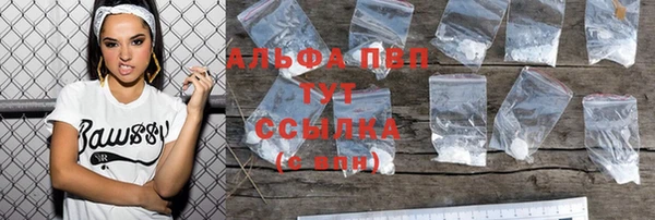 спайс Баксан