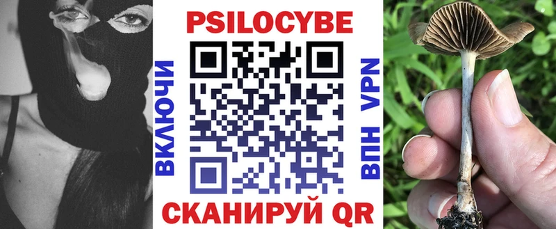 Псилоцибиновые грибы GOLDEN TEACHER Губаха