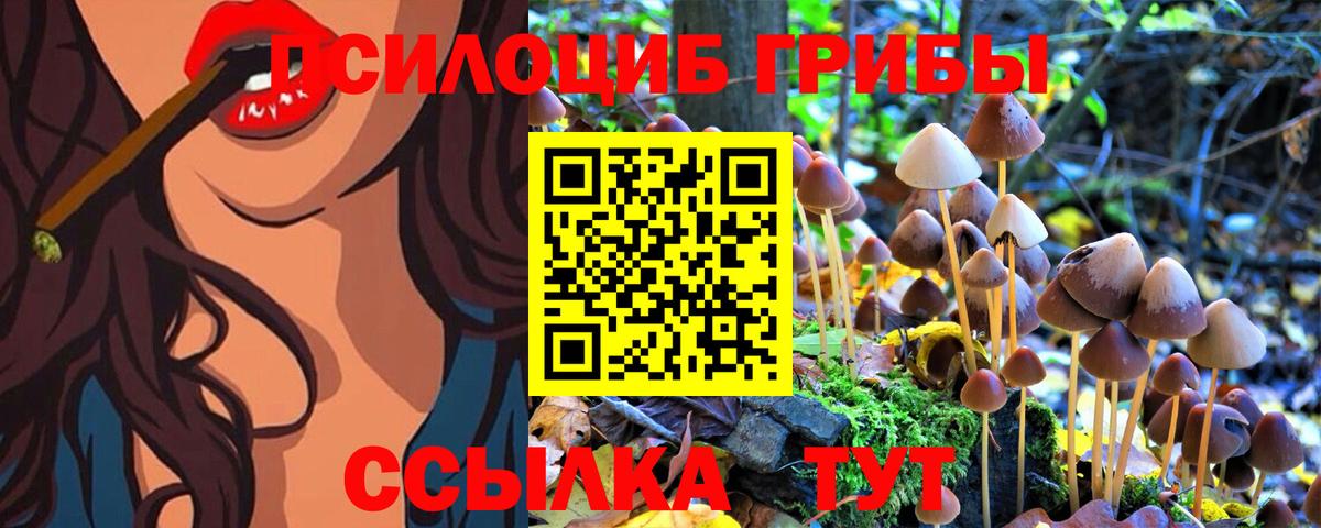 Псилоцибиновые грибы Psilocybine cubensis Губаха