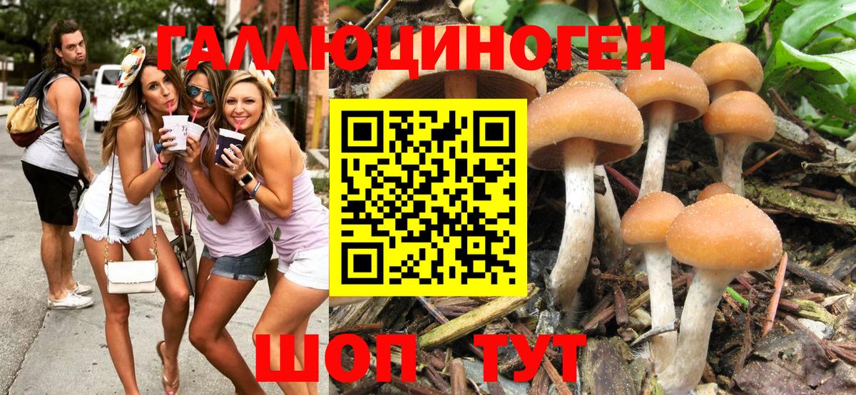 где продают наркотики  Галлюциногенные грибы MAGIC MUSHROOMS  Вход с VPN  Губаха 